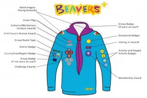 Beaver-Uniform_TIM_1