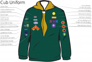 cub-uniform-badge-placement